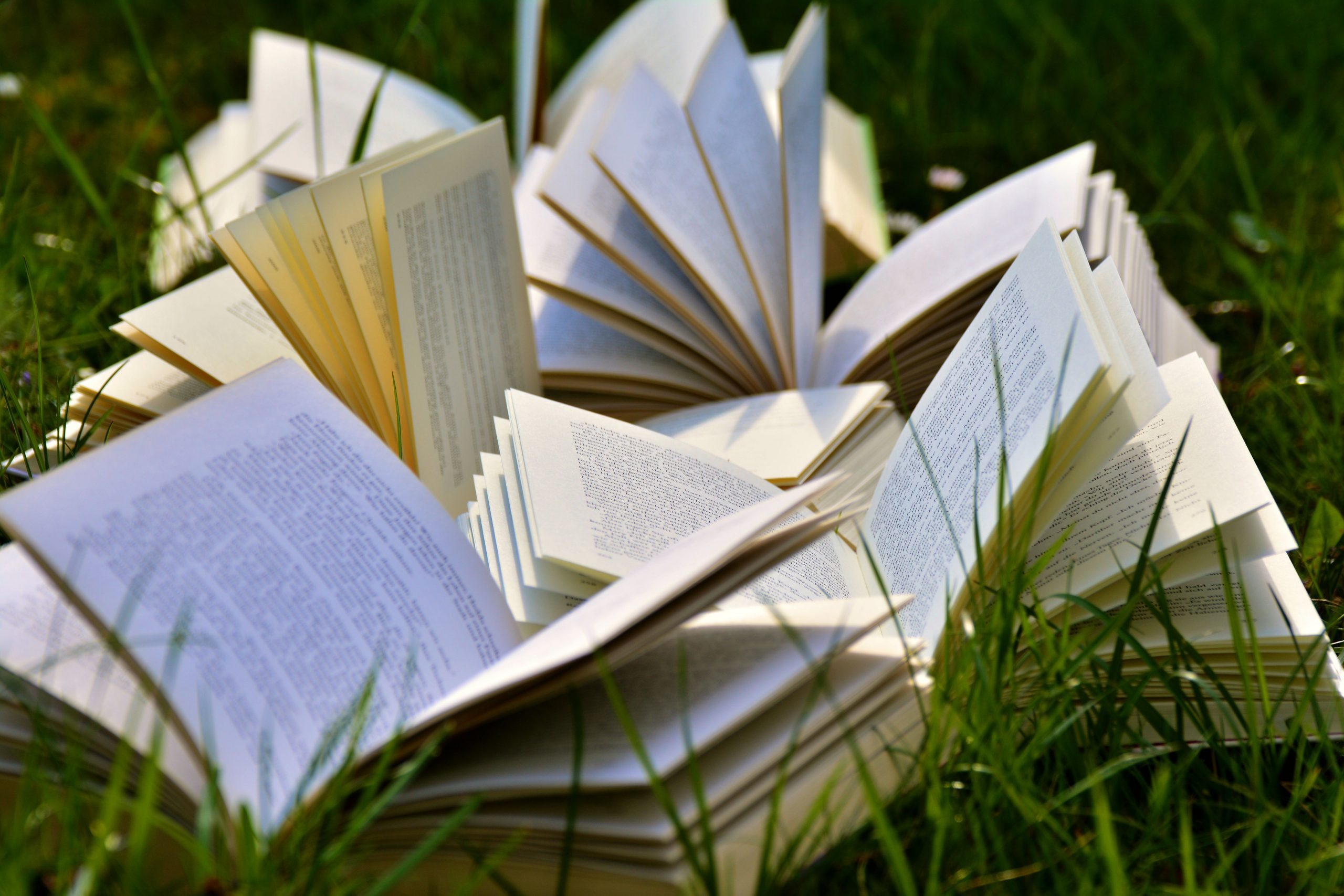 Book